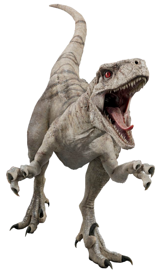 Jurassic World Dominion Atrociraptor Render Png By Junior3DSYMas On jurassic-world-dominion-atrociraptor-render-png-by-junior3dsymas-on