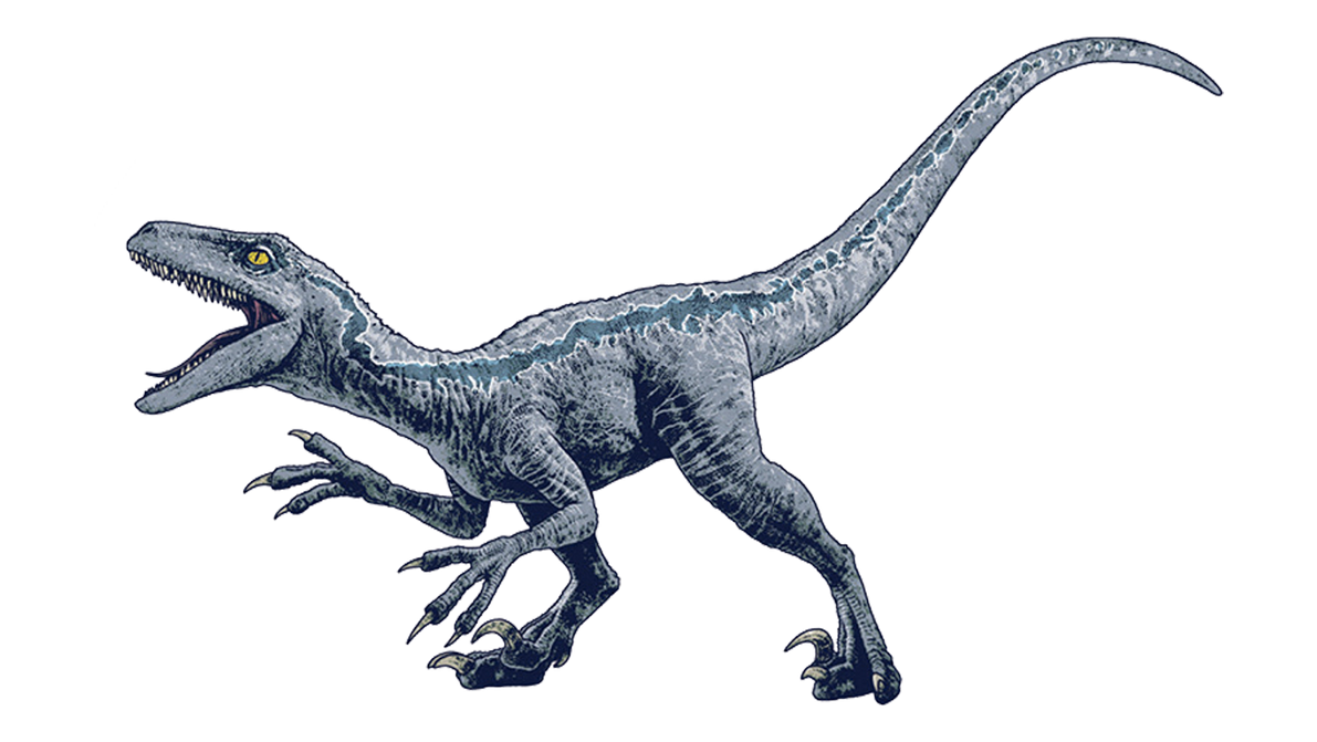 Blue Velociraptor Png at Faith Tart blog