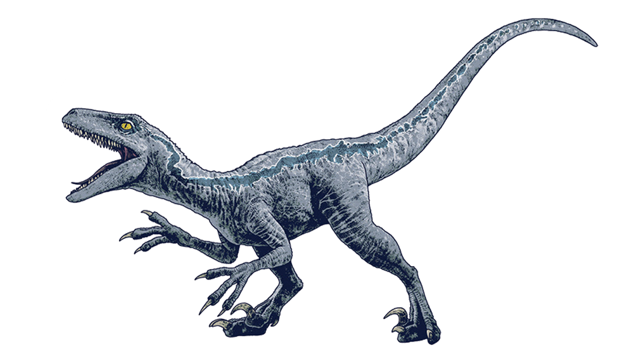 Blue Raptor Render Jurassic world dominion Raptor blue render png by Junior3DSYMas on ...