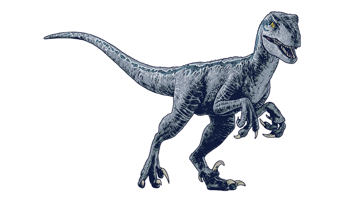 Jurassic world dominion Raptor blue render png by Junior3DSYMas on ...