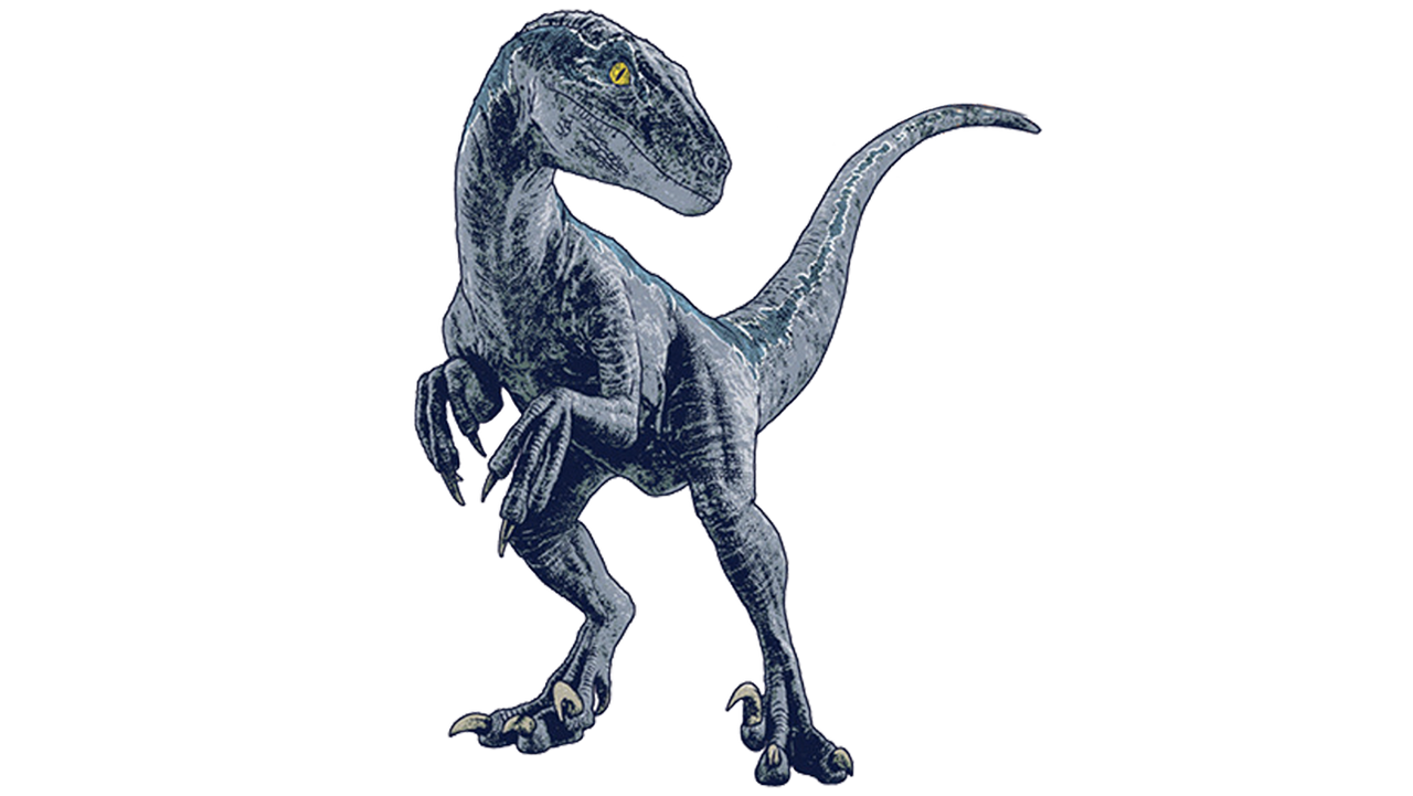 Jurassic world dominion Raptor blue render png by Junior3DSYMas on ...