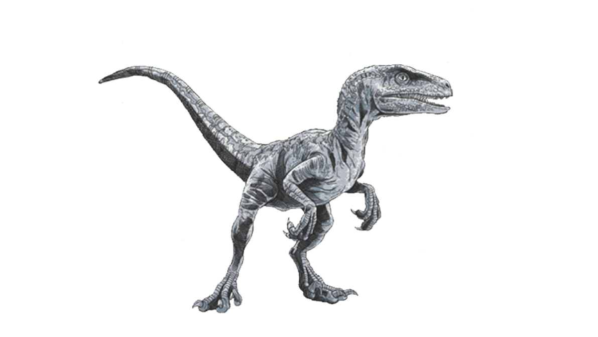 Blue Raptor Render Jurassic world dominion raptor blue render png by Junior3DSYMas on ...