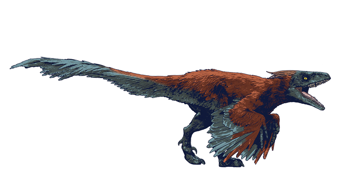 Jurassic World Dominion Pyroraptor Render Png By Junior3DSYMas On jurassic-world-dominion-pyroraptor-render-png-by-junior3dsymas-on