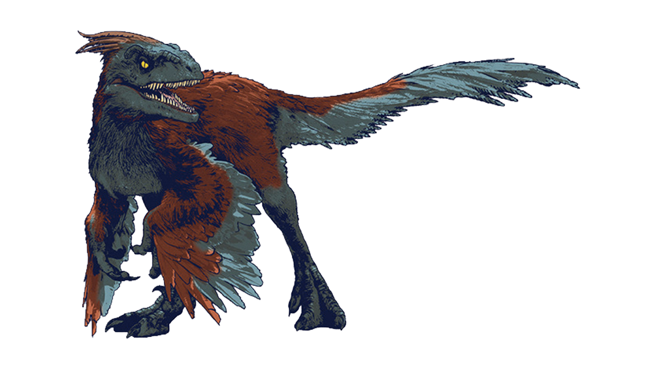 Jurassic world dominion pyroraptor render png by Junior3DSYMas on ...