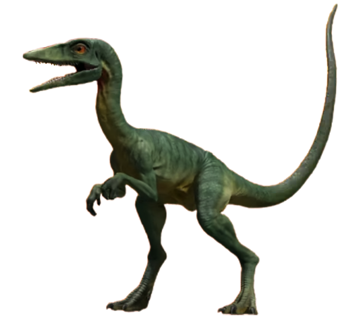 Jurassic World Compsognathus Render PNG by Junior3DSYMas on DeviantArt