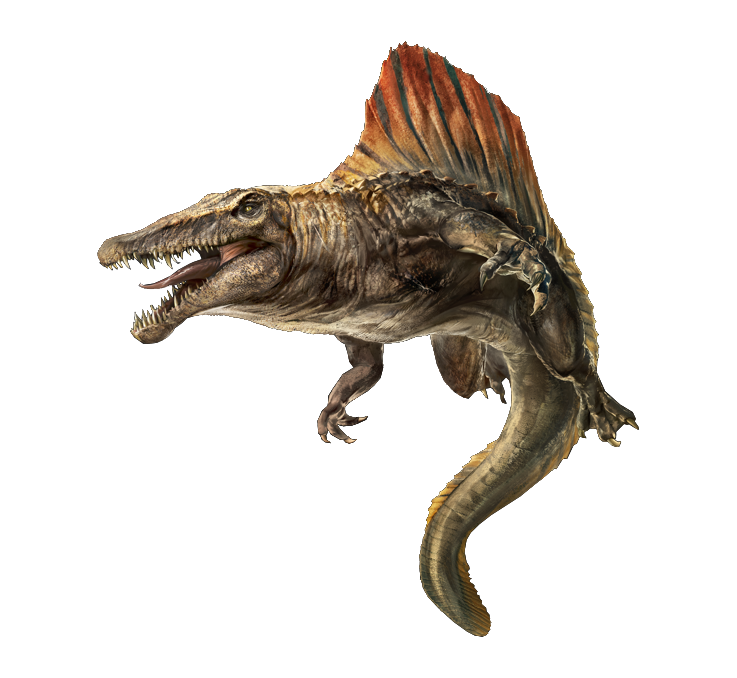 Dinosaure - Squelette fossile - DENT DE Spinosaure - 10 cm Dinosaure - Squelette fossile - DENT DE Spinosaure - 10 cm