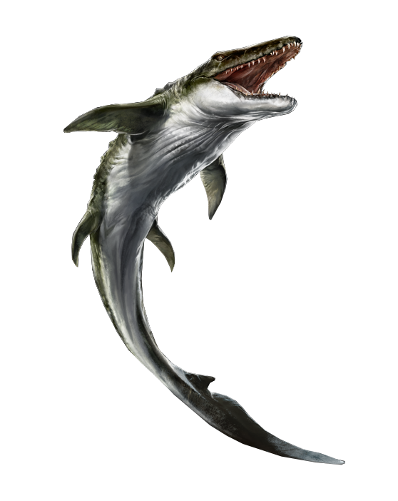 Transparent Mosaurus Jurassic World Rebirth Mosasaurus Render PNG by Junior3DSYMas on DeviantArt