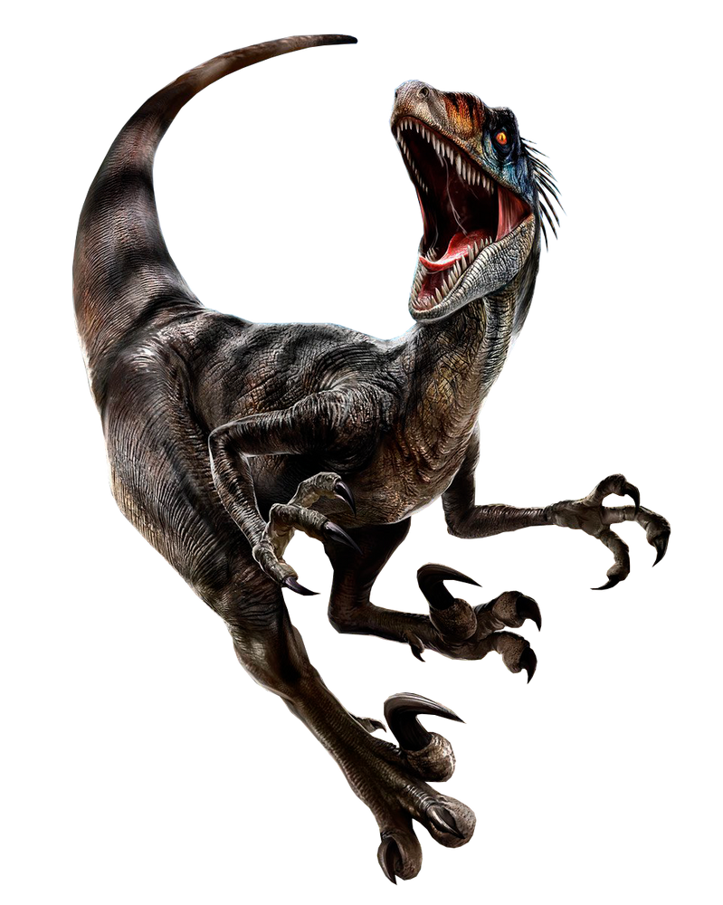 Jurassic World Rebirth Velociraptor PNG by Junior3DSYMas on DeviantArt