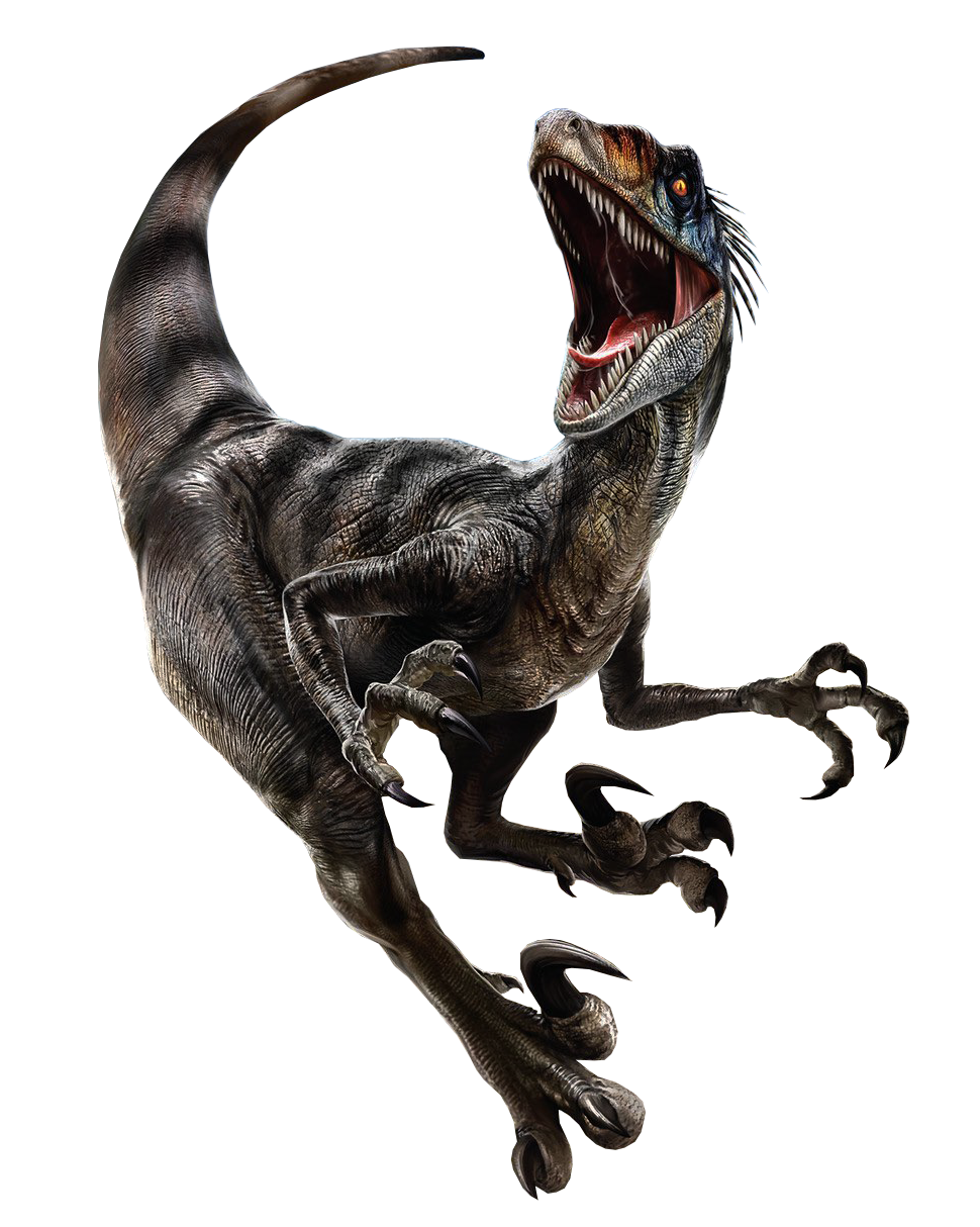 Rebirth Raptor No Background Jurassic World Rebirth Velociraptor PNG by Junior3DSYMas on DeviantArt