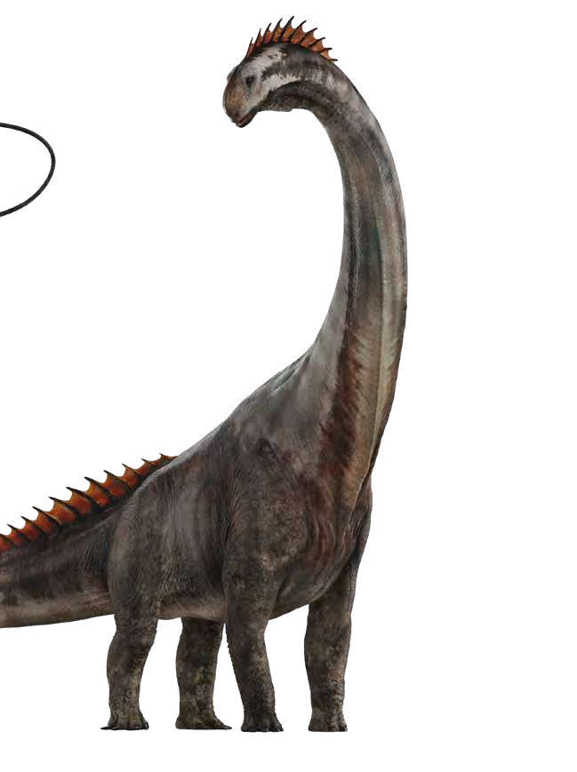 Jurassic World Rebirth Titanosaurus PNG by Junior3DSYMas on DeviantArt