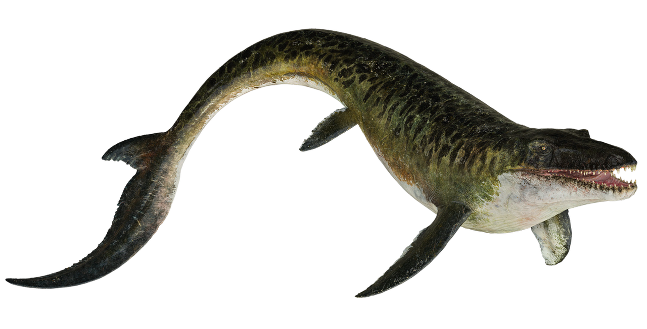 Transparent Mosaurus Jurassic World Rebirth Mosasaurus PNG by Junior3DSYMas on DeviantArt