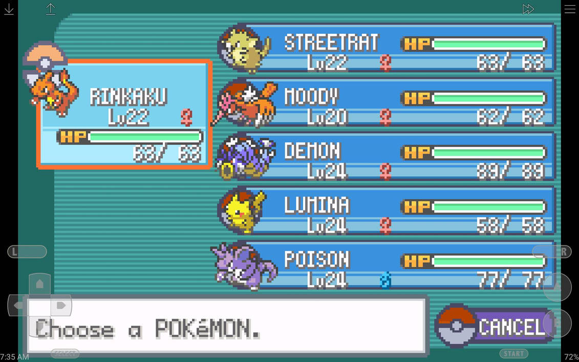 Fire Red Team 3 by Sango1994 on DeviantArt