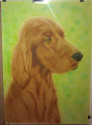 Airbrushed Irish setter