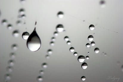 Drops