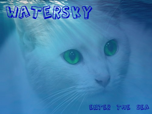 Watersky Banner