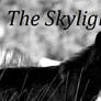 The Skylight Banner One