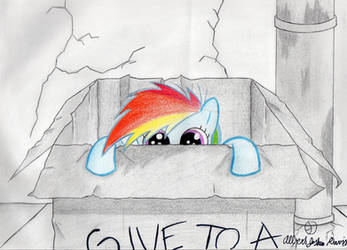 Dashie in a Box