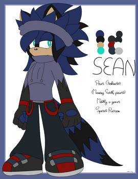 : . Sean The Raccoon . :