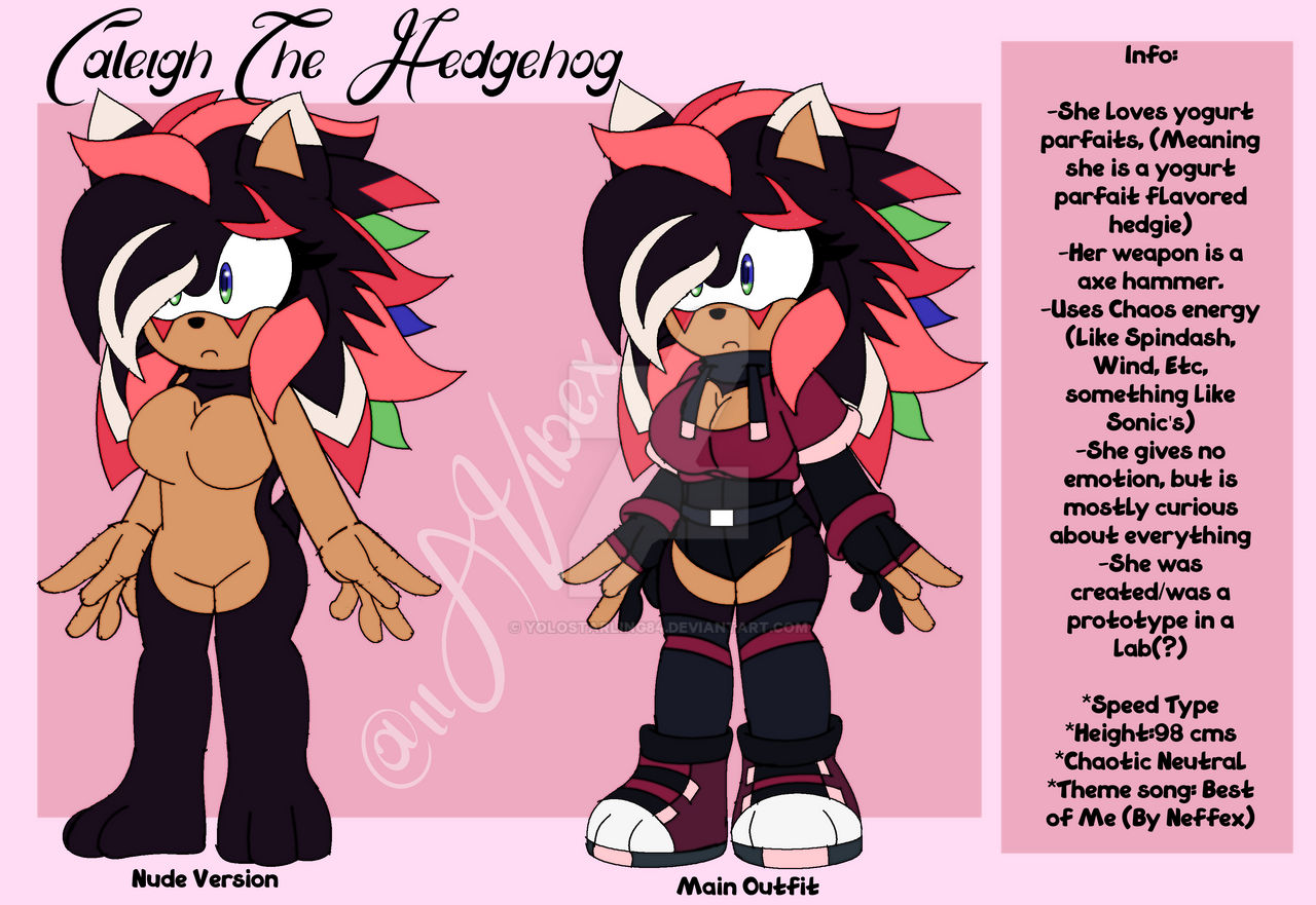 : . Caleigh The Hedgehog . :