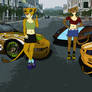 Duba, Mkundu, and Kitako's cars