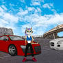 Sonia and Lucinda's Cars