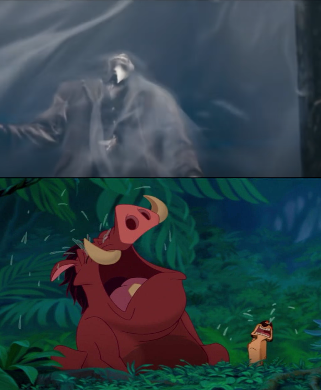 Timon And Pumbaa Cry Over Sirius Black s Death By Angrysubie64 On timon-and-pumbaa-cry-over-sirius-black-s-death-by-angrysubie64-on