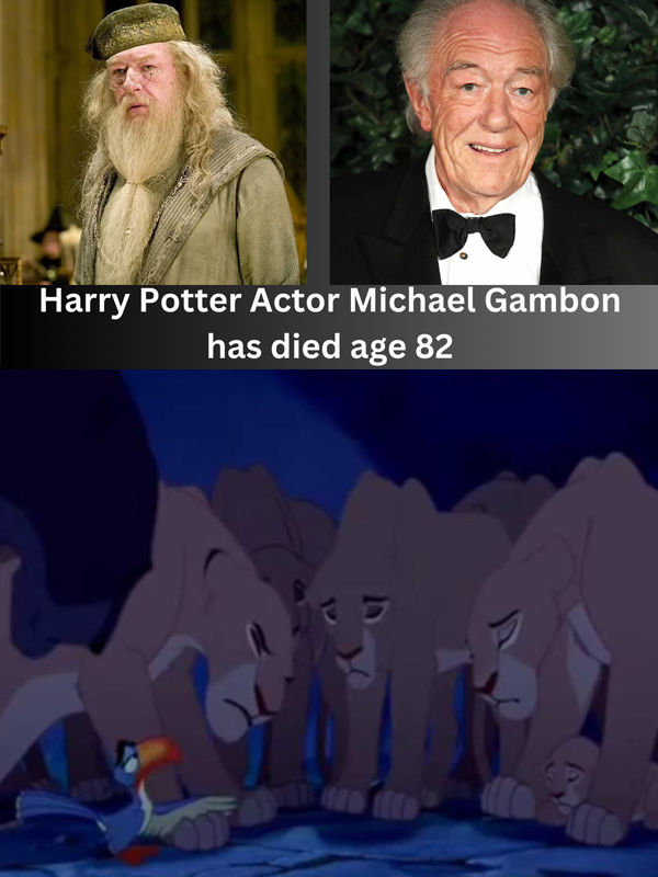 Dumbledore Rip Michael Gambon Memes RIP Michael Gambon, Who Played Dumbledore