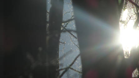 Snowflakes + Light-beams