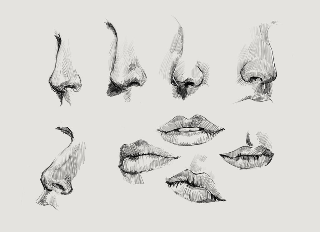 Practice - Nose / Mouth by K-appa on DeviantArt