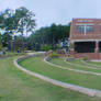 MSC Panorama