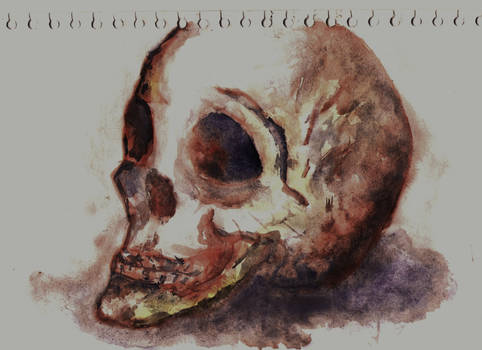 Watercolour Skull