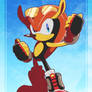 Sonic Riders Mighty