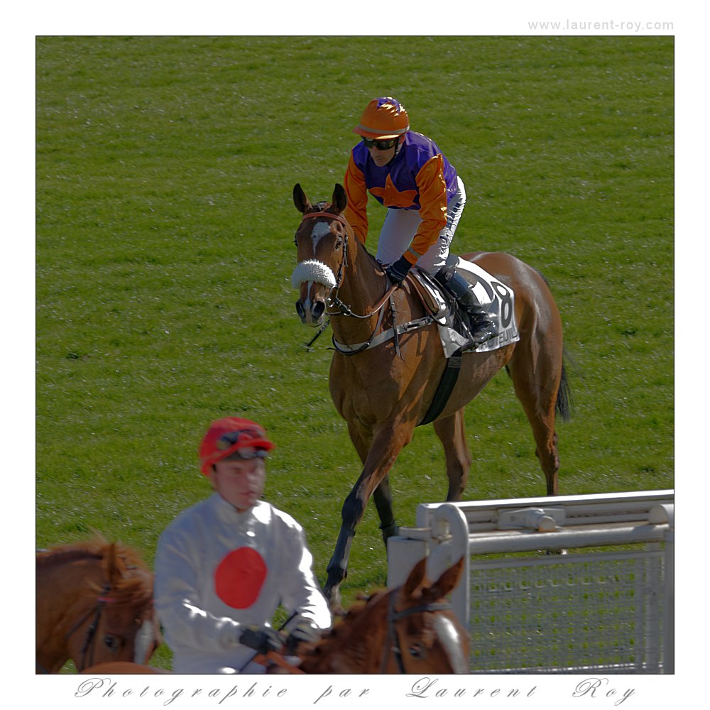 Auteuil - 018