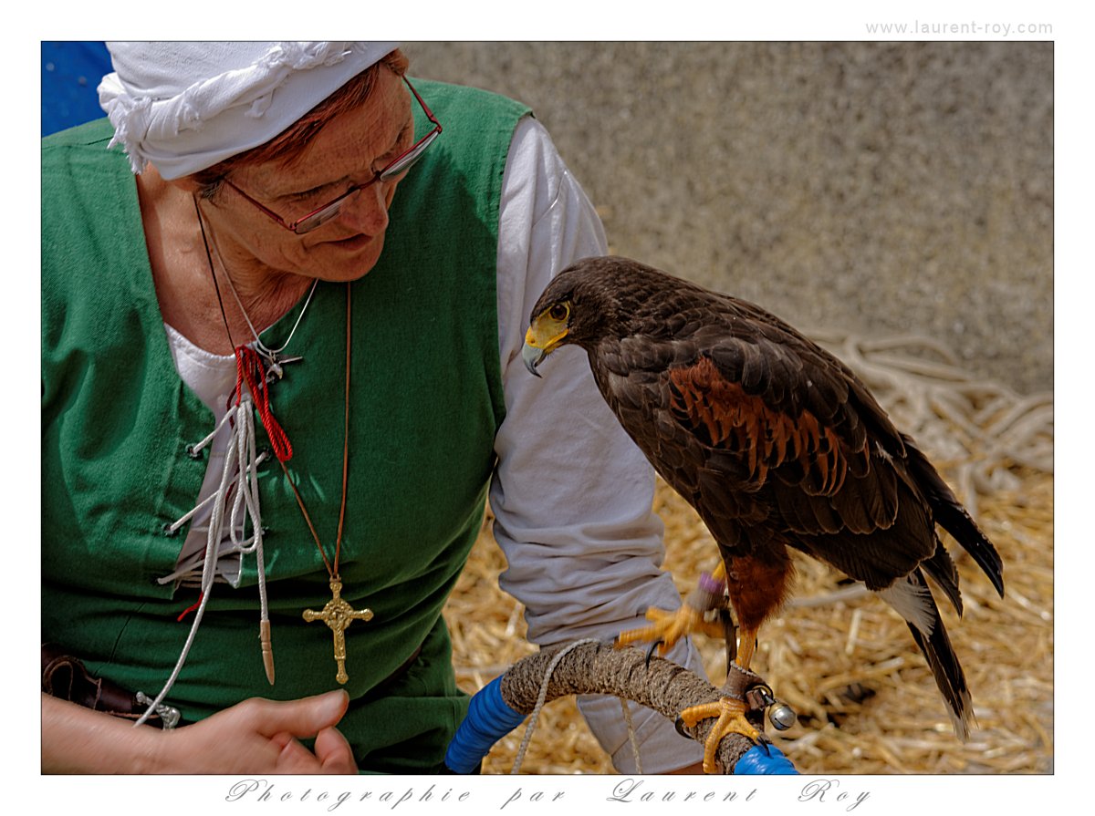 Sens - 029 - medieval gathering