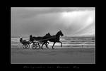 Running horses on the beach 2 by laurentroy