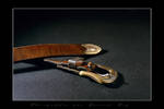 My belt by laurentroy