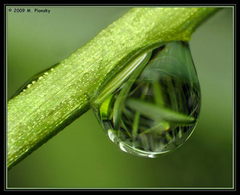 A Drop