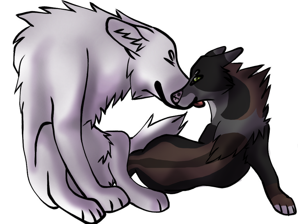 Fox and wolf Love