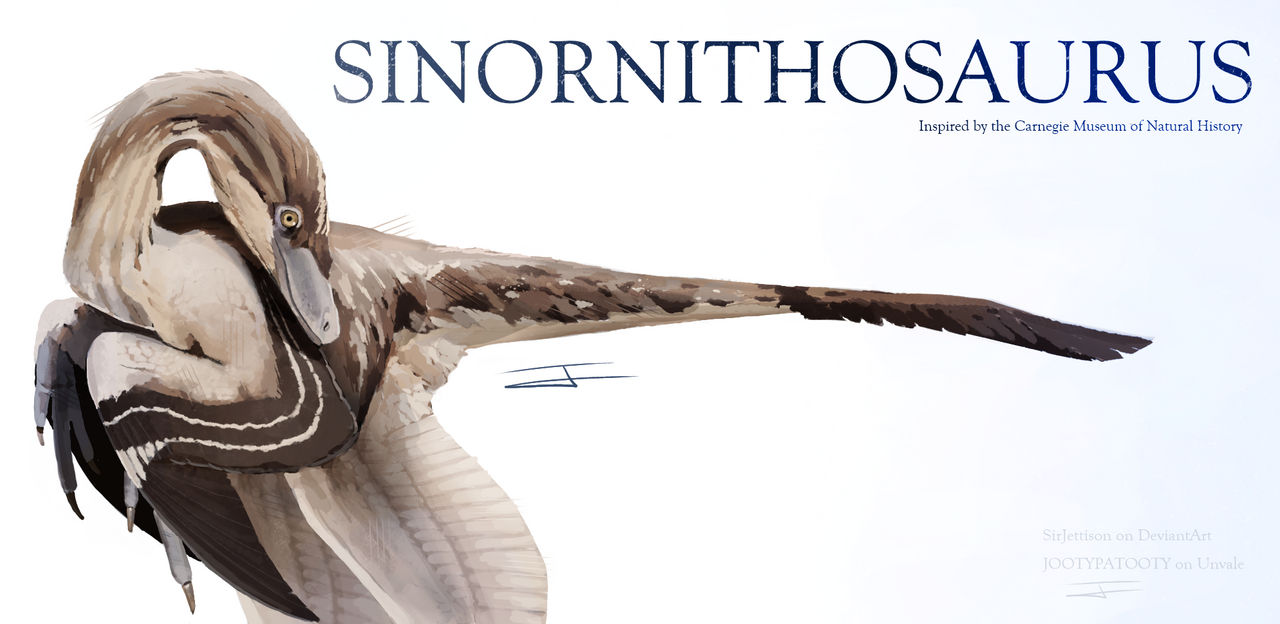 Sinornithosaurus Sinornithosaurus by SirJettison on DeviantArt