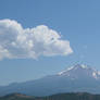 Mount Shasta
