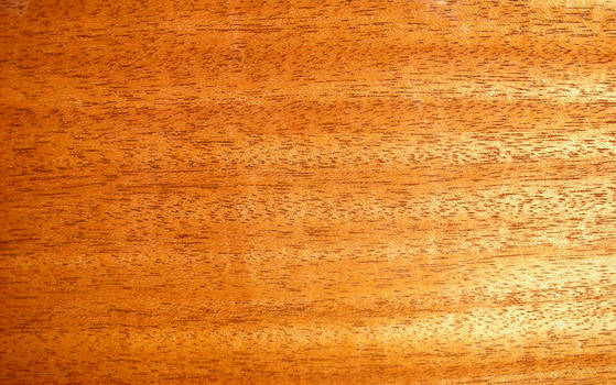 Wood Texture 1