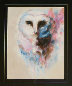 Barn Owl