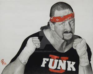 Terry Funk