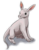 Aardvark Doodle