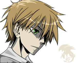 Usui - Maid Sama