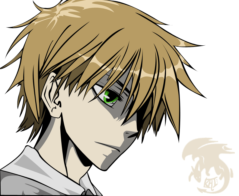 Usui - Maid Sama