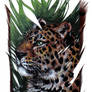 Jaguar on Feather