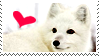 Arctic Fox Stamp