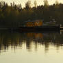 Lonely Yellow Boats