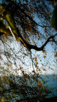 Autumn: Sweeping Leaves